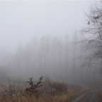 Escenarios de seguridad y defensa: el debate urgente (primera parte)