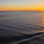 De la política y el mar